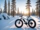 Upplev friheten med fatbike i naturen illustration