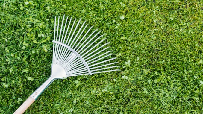 Kratta med stil Kratta med stil illustration