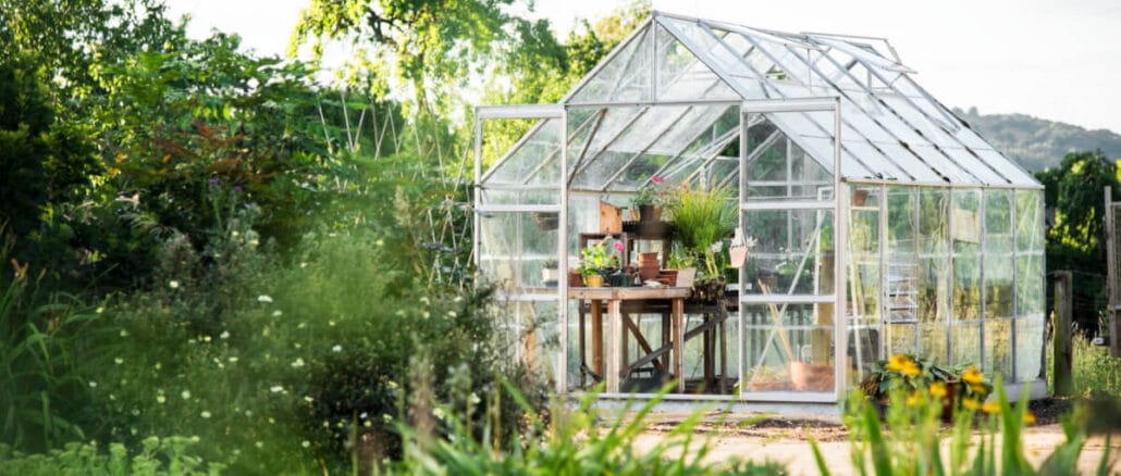 Odla och skapa en egen grön oas illustration