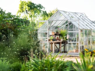 Odla och skapa en egen grön oas illustration